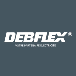 Logo Debflex