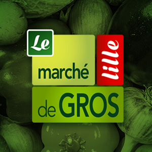 Logo MIN de Lille