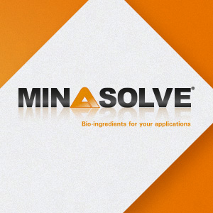 Logo Minasolve